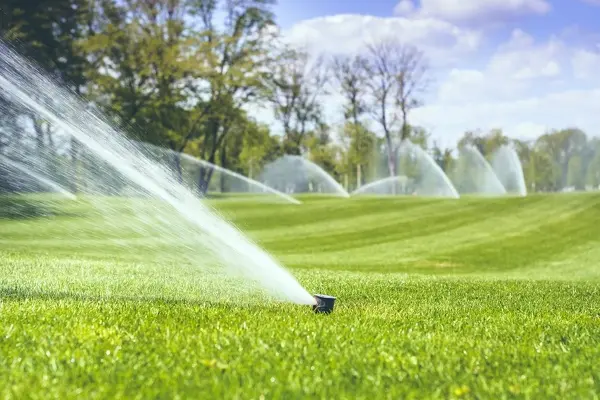 Irrigation Services
