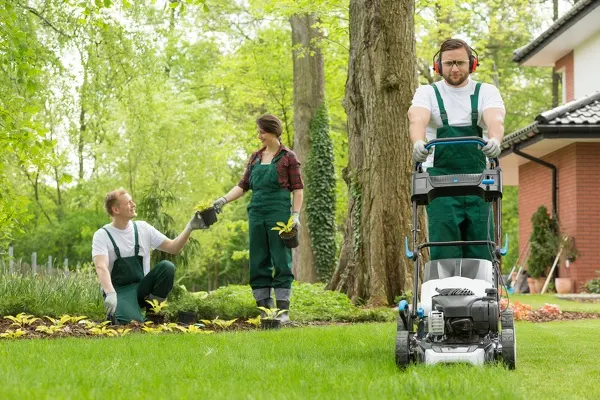 Landscaper in Brentwood, NY