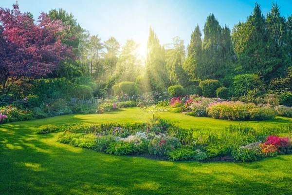 Landscaping Services