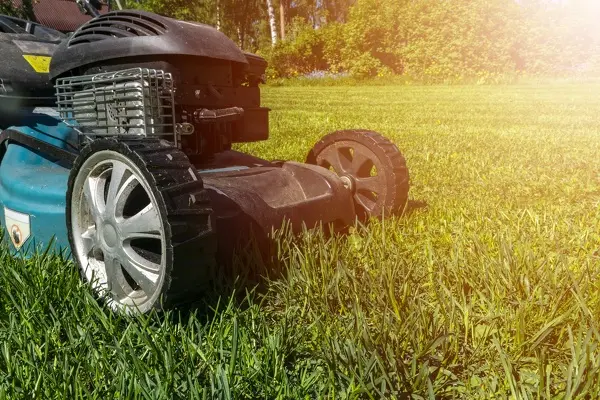 Lawn Mowing