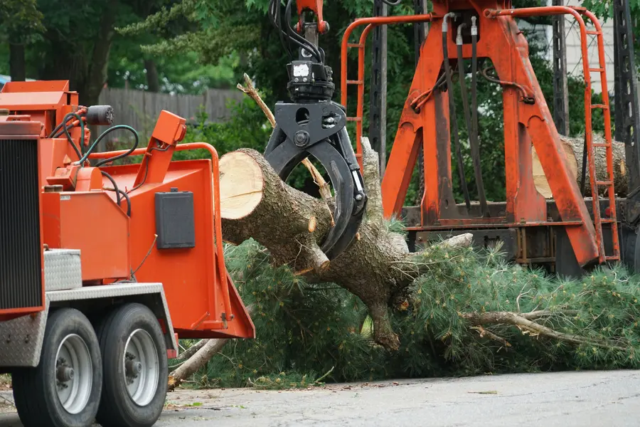 Affordable Tree Services Brentwood, NY