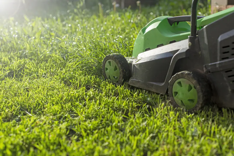 Benefits Of Scheduled Lawn Mowing For Property Value in Brentwood, NY