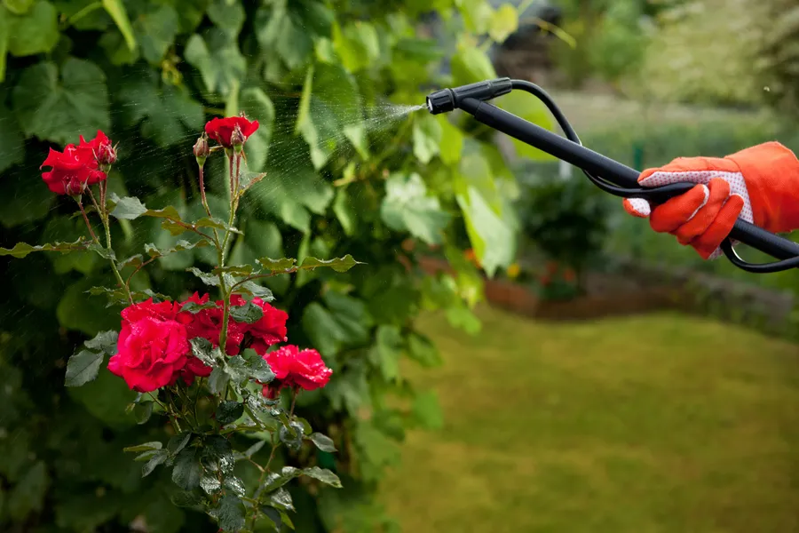 How Gardening Services Improve Soil Health Brentwood, NY