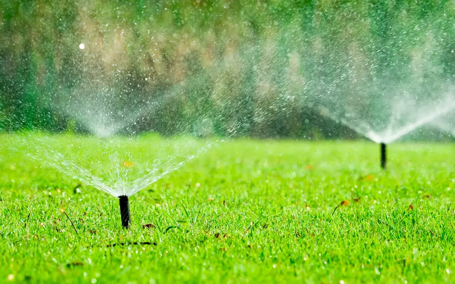 Professional Irrigation Services Brentwood, NY