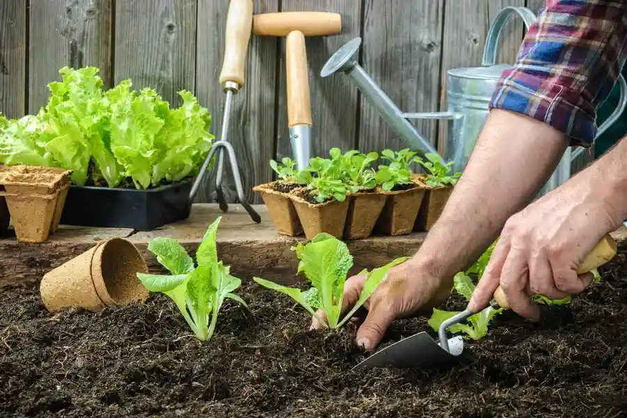 Quality Gardening Services Brentwood, NY