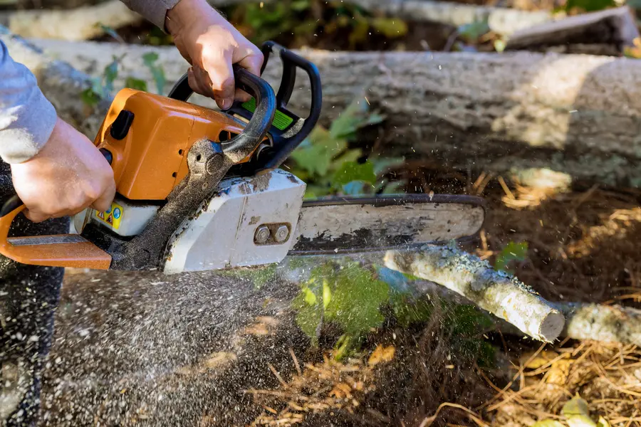 Reputable Tree Services Brentwood, NY