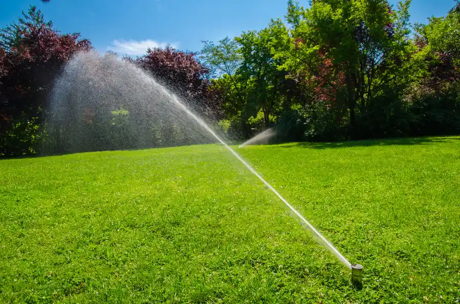 Signs Your Landscape Needs Irrigation Upgrades in Brentwood, NY