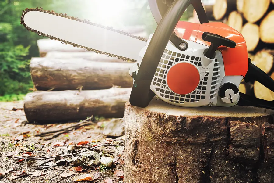 The Role Of Tree Services In Storm Preparation in Brentwood, NY