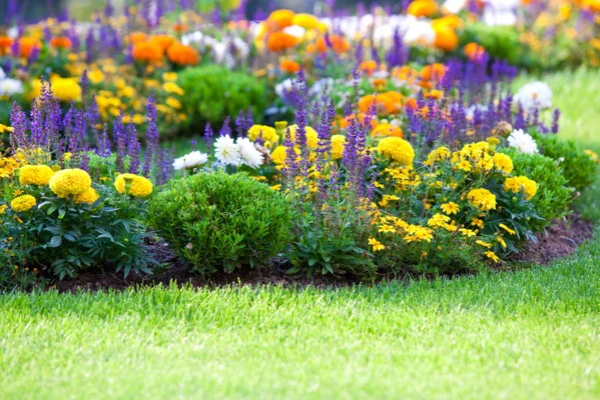 Top-rated Gardening Services Brentwood, NY