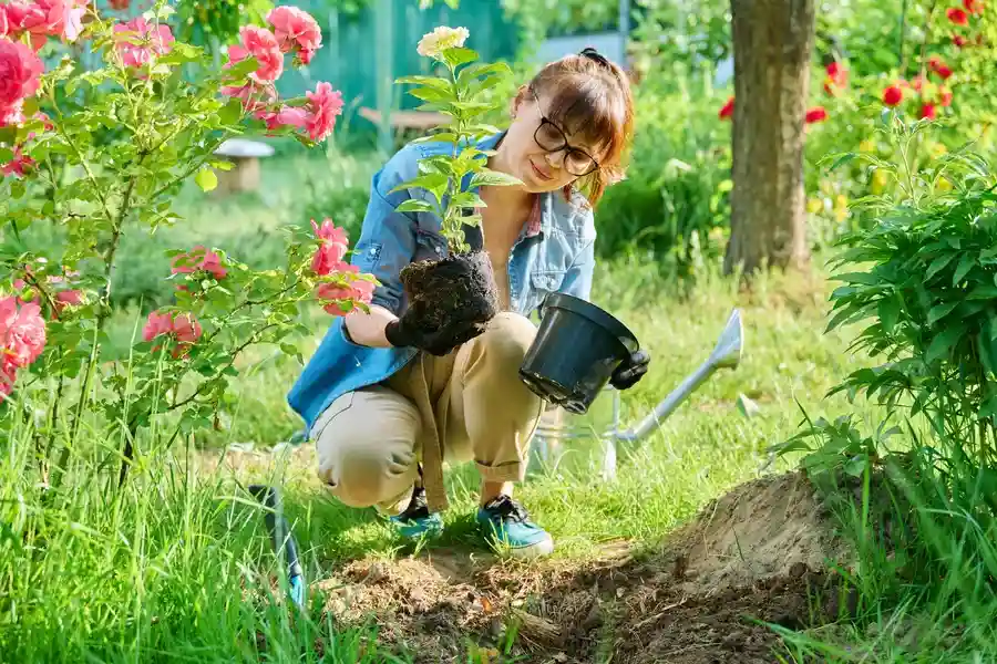 What To Expect From A Gardening Service Visit Brentwood, NY
