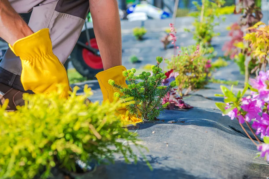 What To Expect From A Gardening Service Visit in Brentwood, NY
